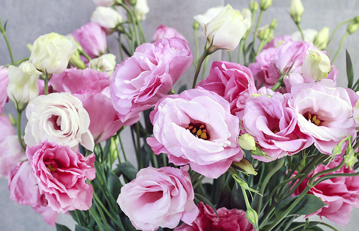 Photograph of a lisianthus