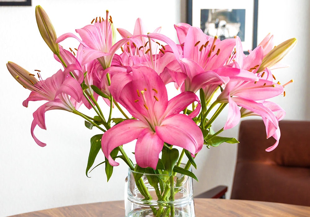 Pink lilies in a glass vase on a wooden table, situated in a modern room with framed pictures on the wall and a brown chair in the background.