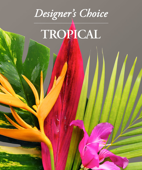 Tropical Allure - Designer Originals